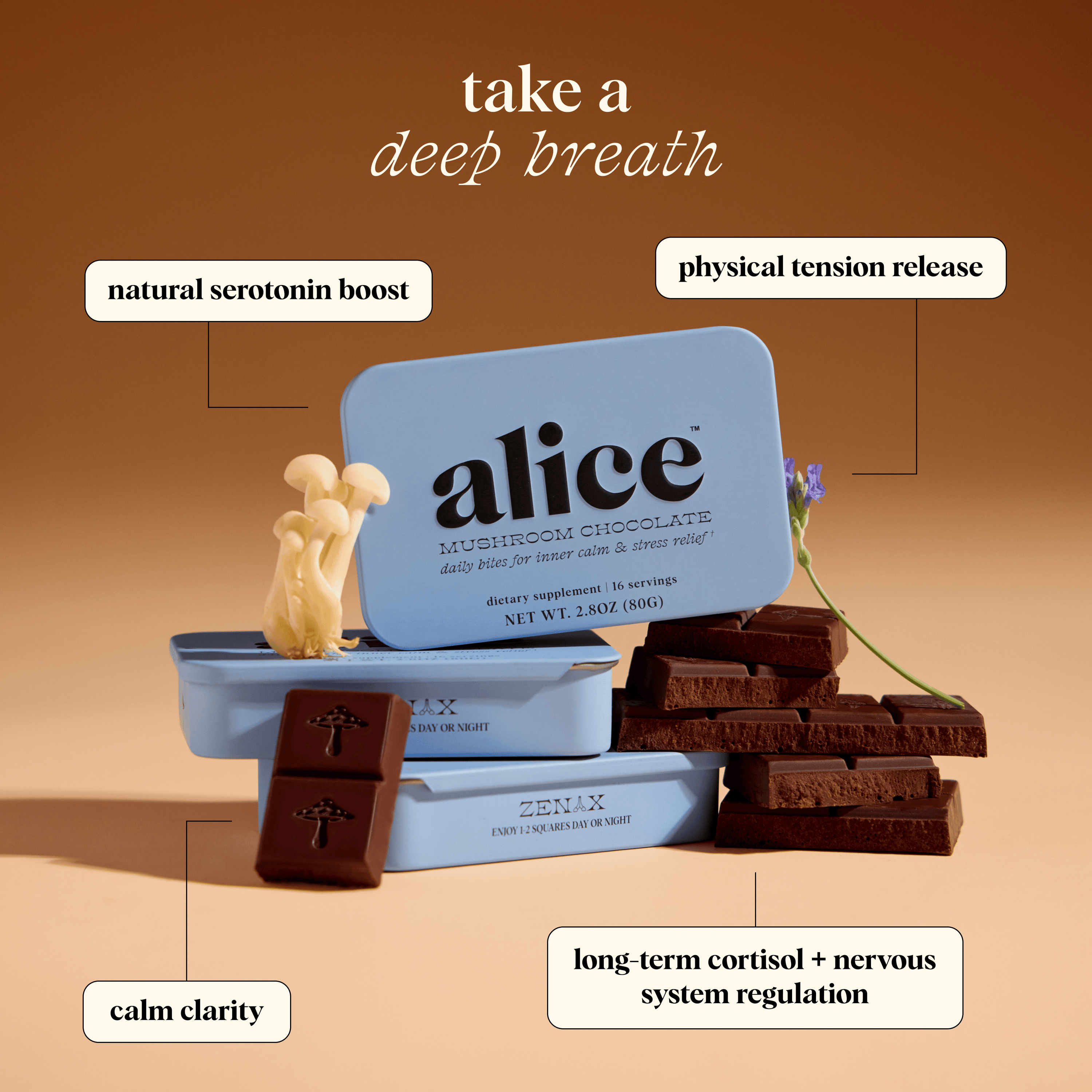 alice mushrooms Vitamins &amp; Supplements Zen-X Functional Mushroom Chocolates