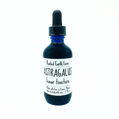 Astragalus Root Tincture - My American Goods