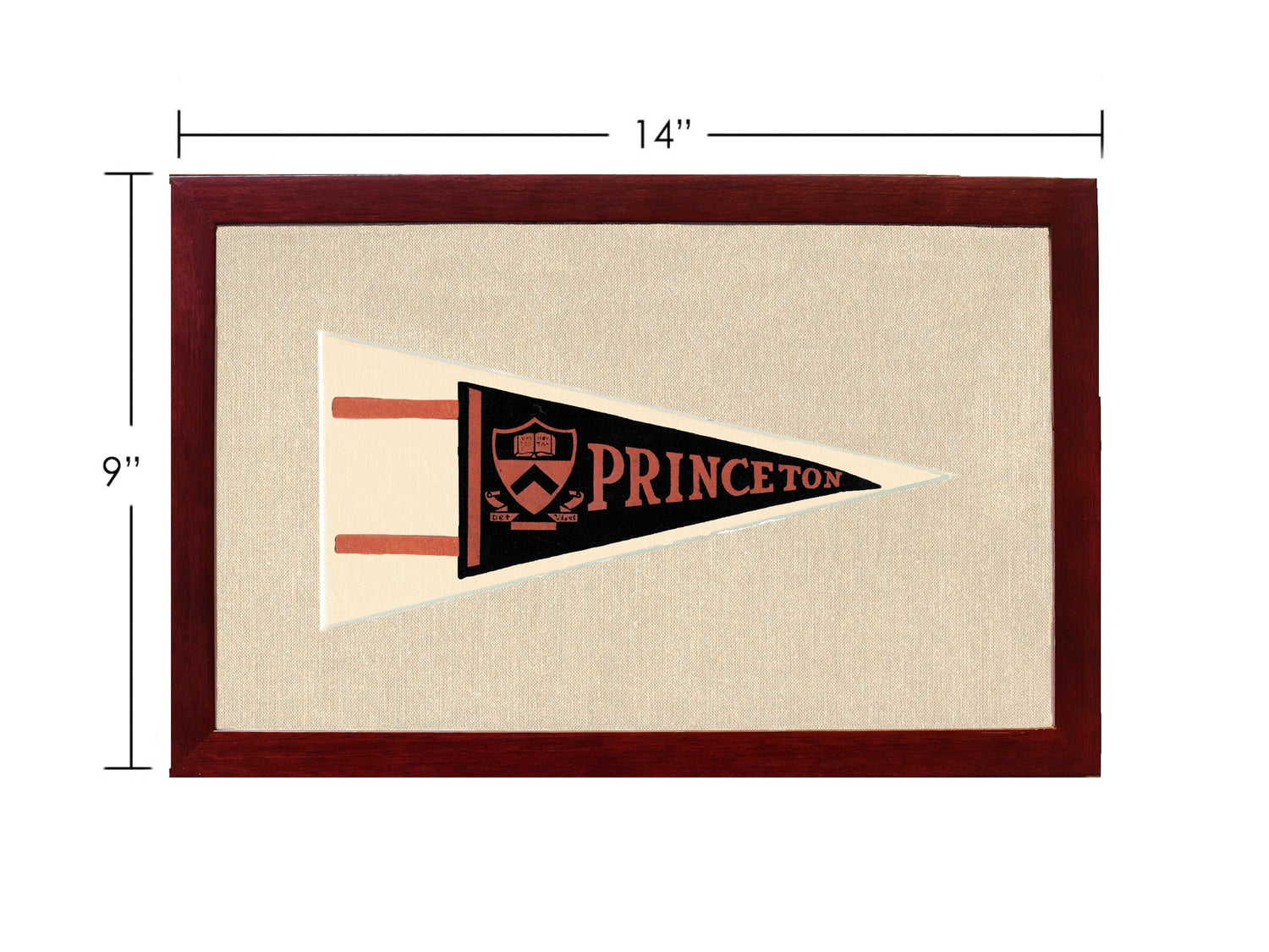 Americana Memories Vintage Pennants and Memorabilia Vintage Princeton Pennant