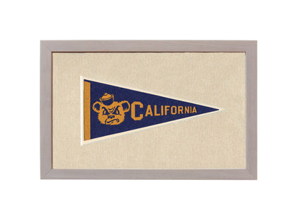 Americana Memories Vintage Pennants and Memorabilia Vintage University of California Pennant