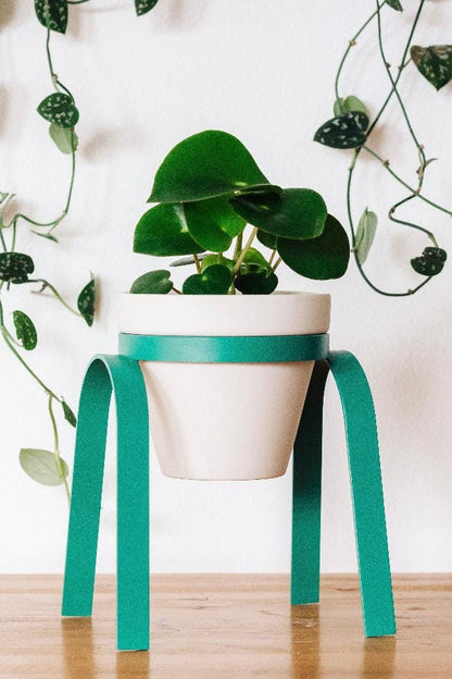 Carter + Rose Teal / Porcelain Metal Plant Stand with Pot