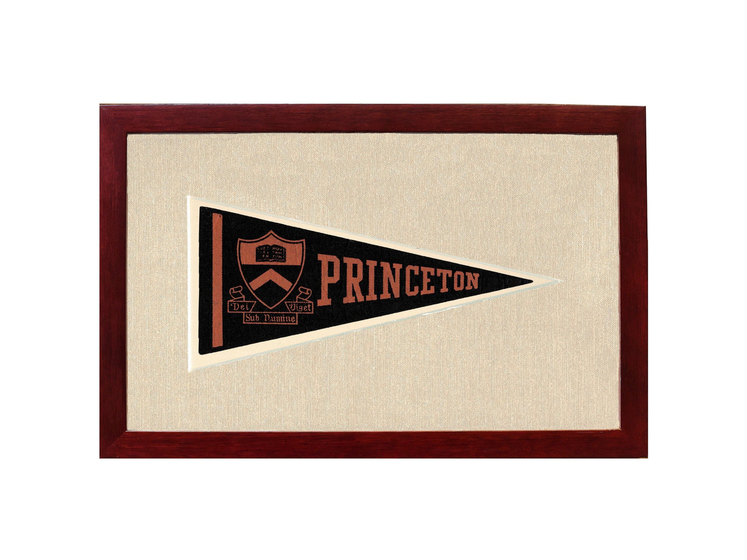 Vintage Princeton Pennant