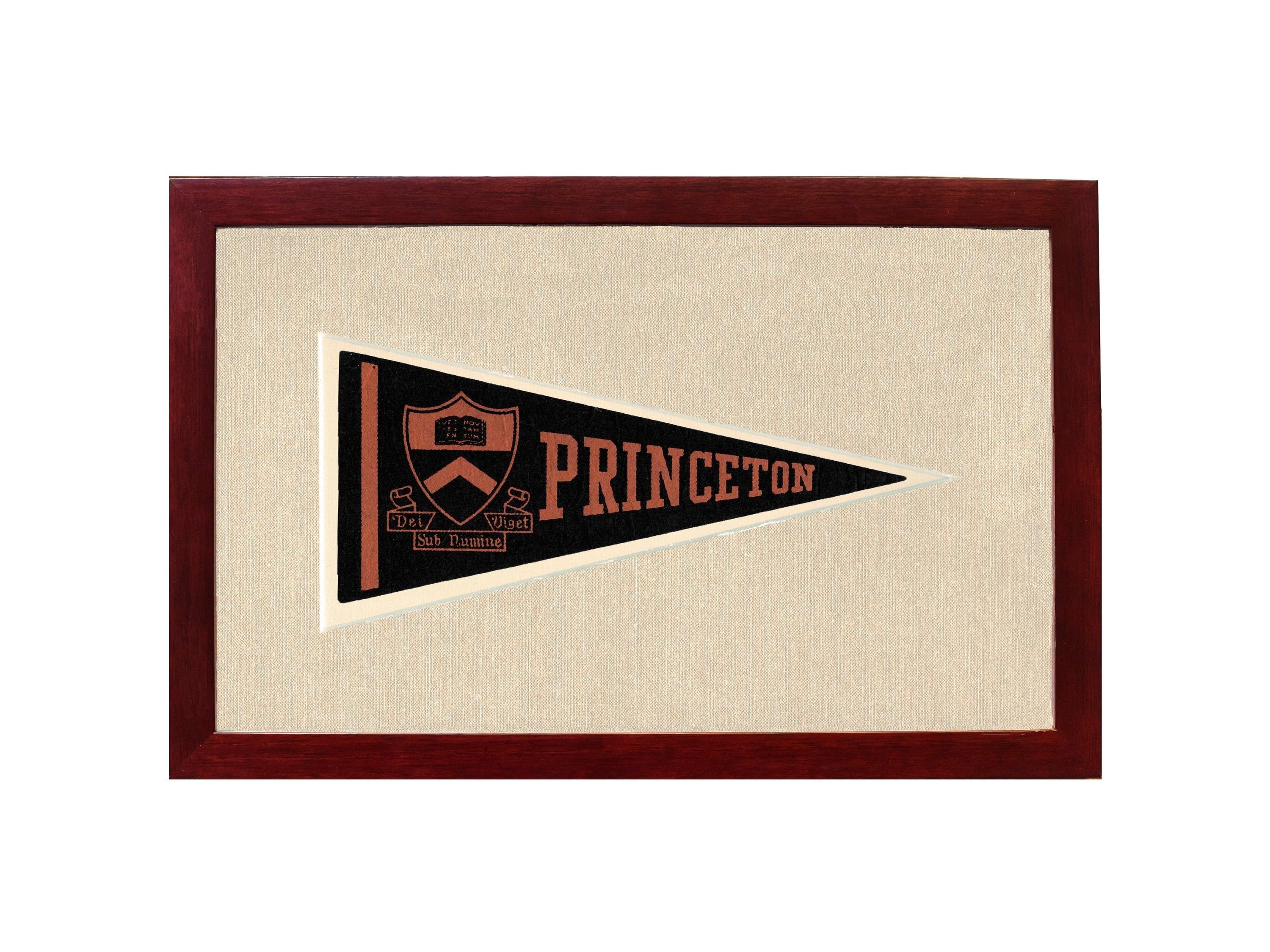 Americana Memories Vintage Pennants and Memorabilia Vintage Princeton Pennant