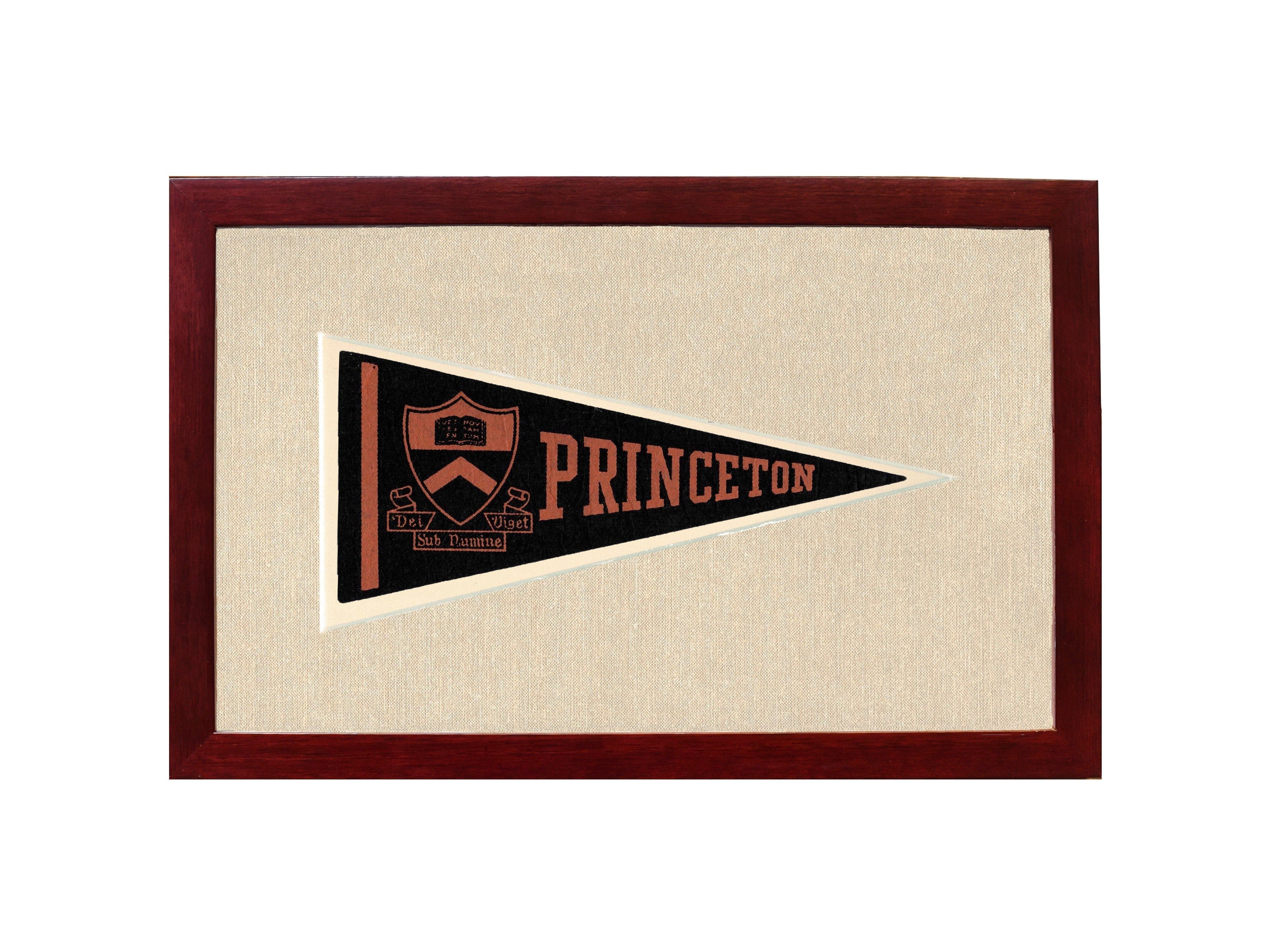 Vintage Princeton Pennant