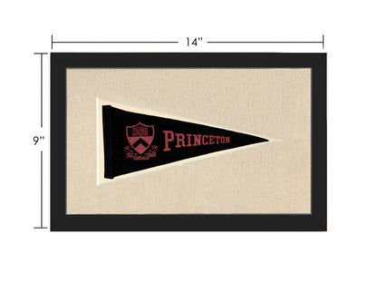 Vintage Princeton Pennant