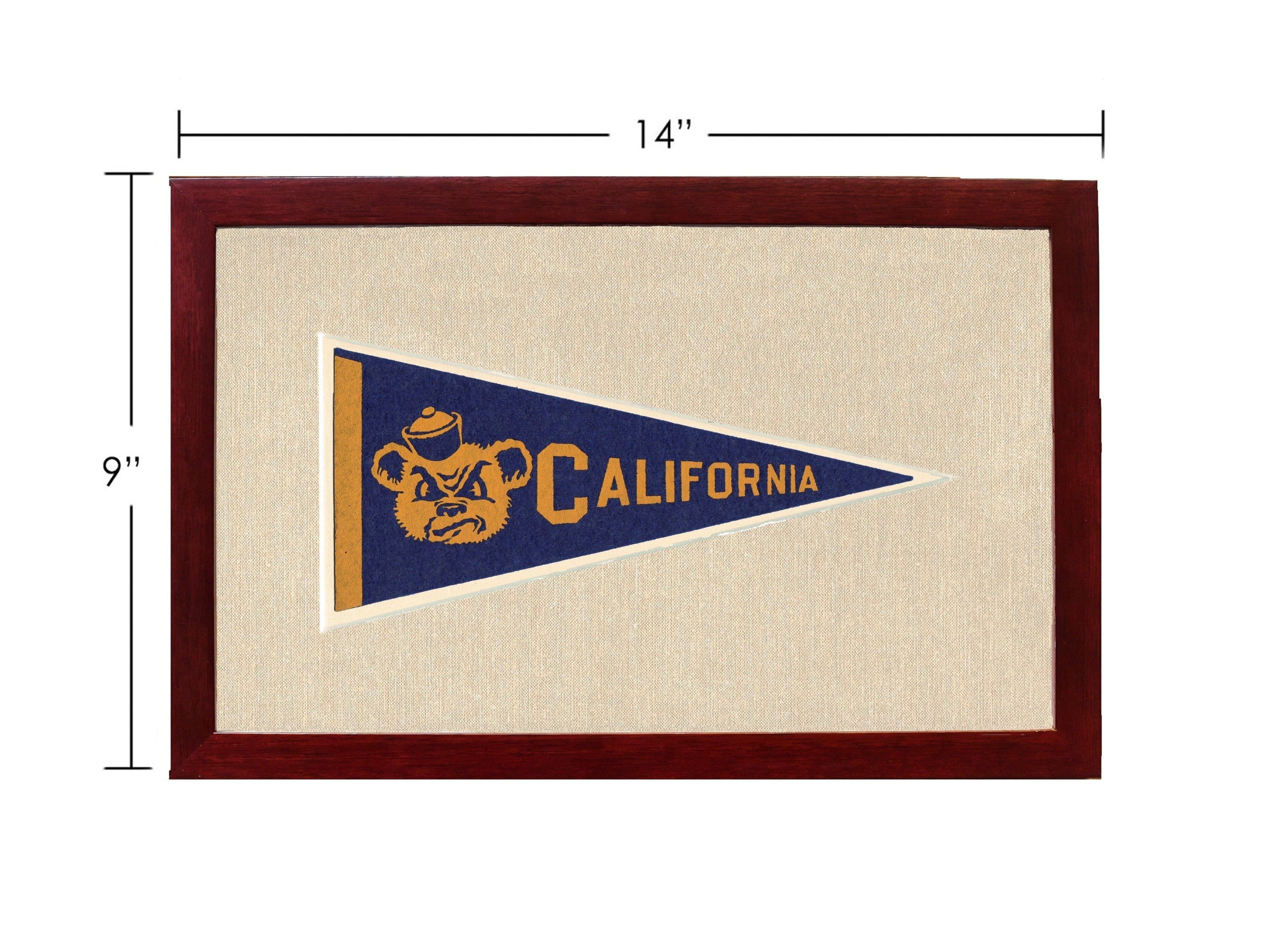 Americana Memories Vintage Pennants and Memorabilia Vintage University of California Pennant
