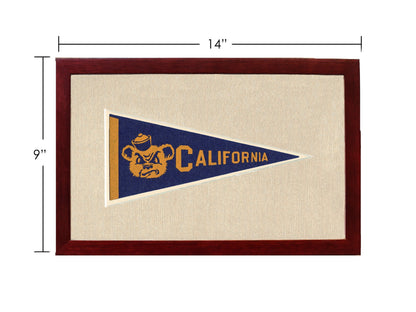 Americana Memories Vintage Pennants and Memorabilia Vintage University of California Pennant