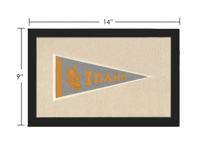 Americana Memories Vintage Pennants and Memorabilia Vintage University of Idaho Pennant