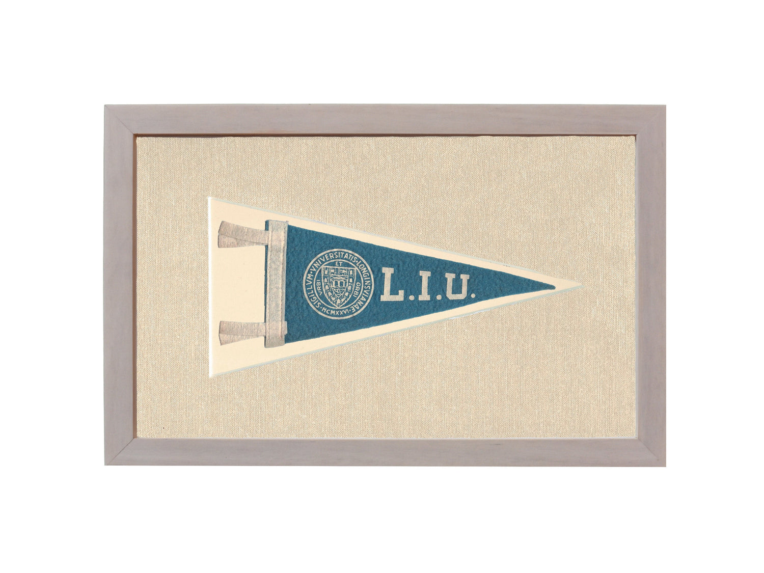 Vintage Long Island University Pennant