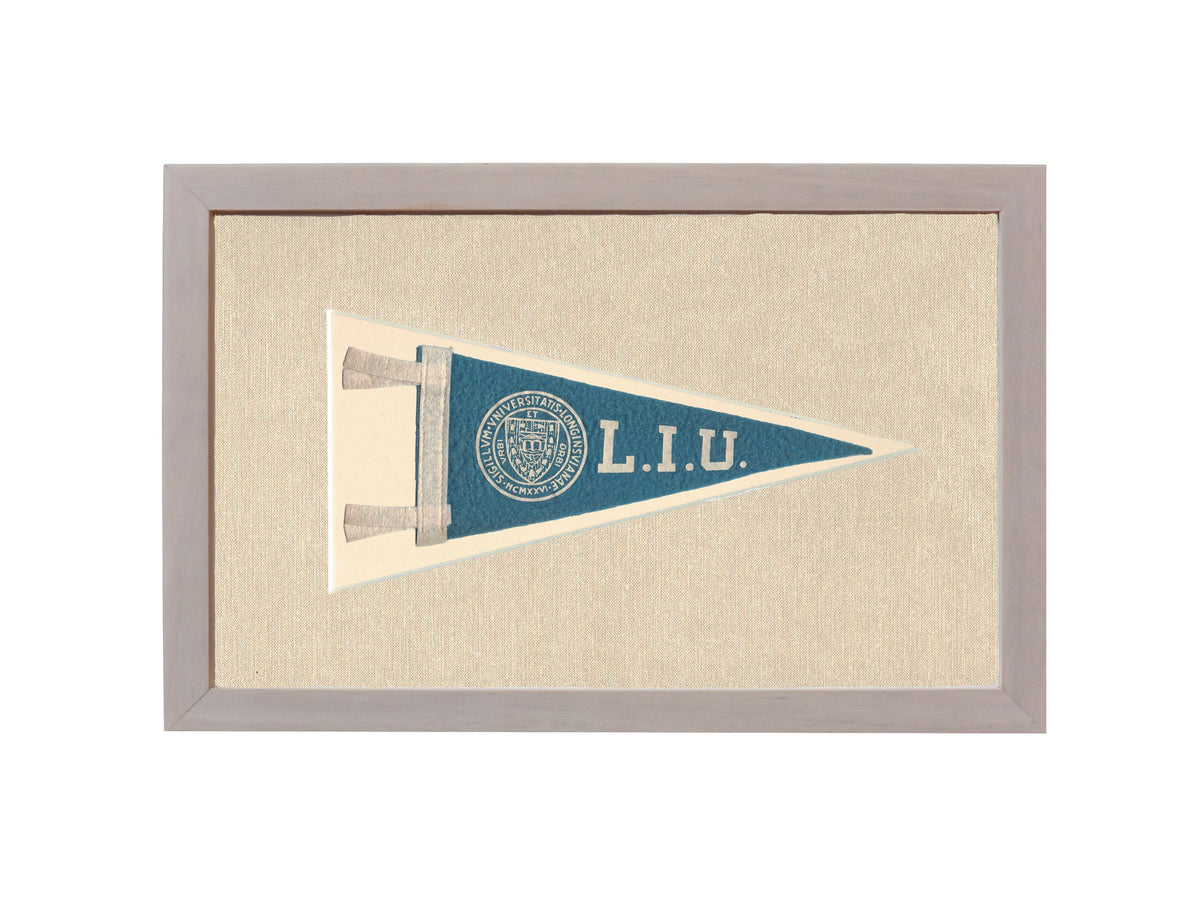 Vintage Long Island University Pennant