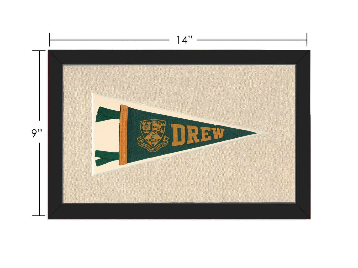 Vintage Drew University Pennant