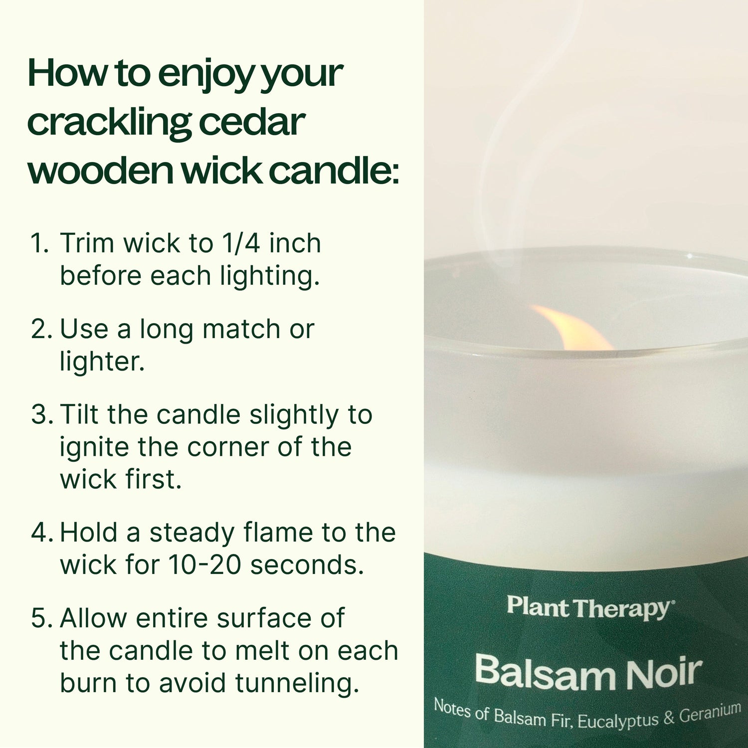 Balsam Noir Naturally Scented Candle - My American Goods
