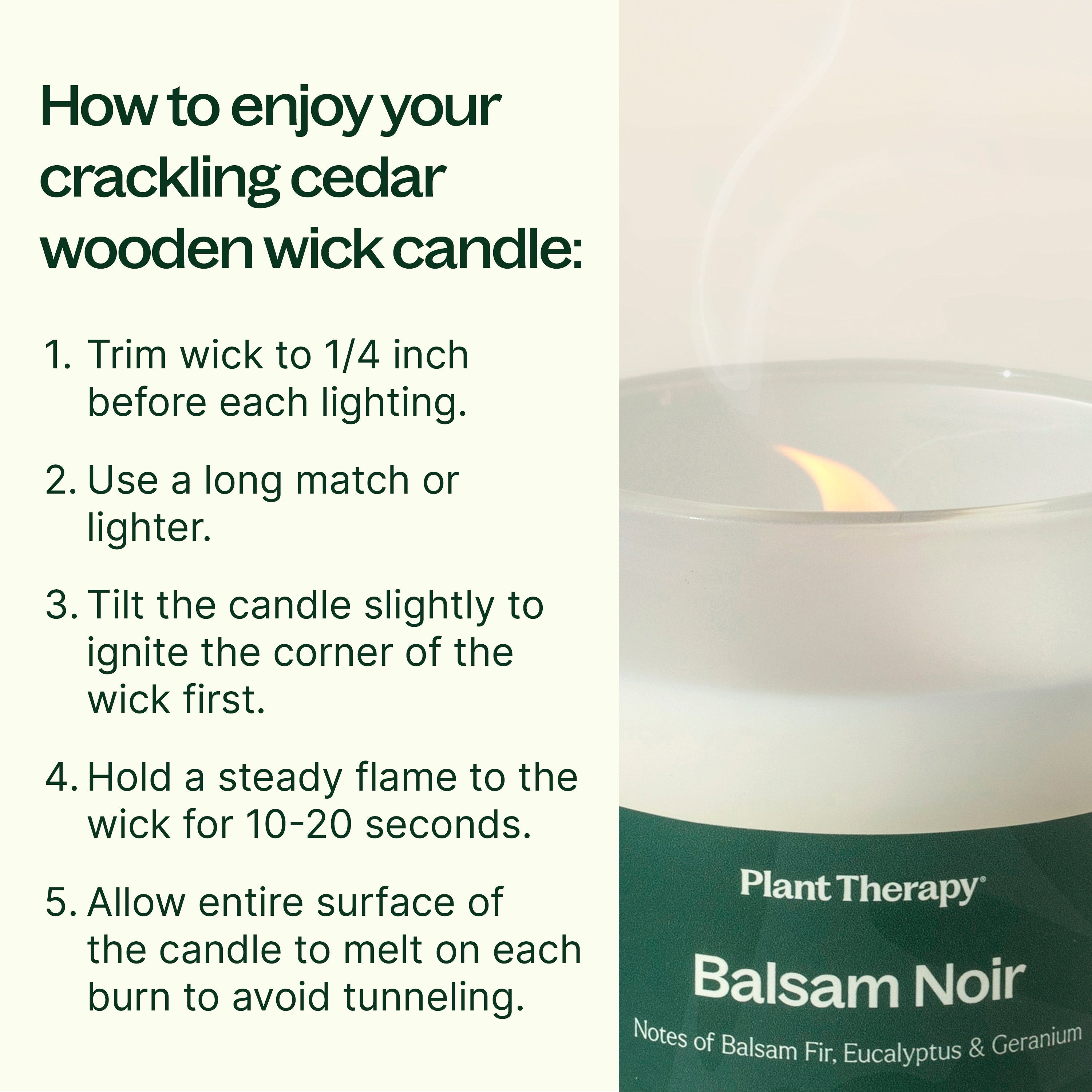 Balsam Noir Naturally Scented Candle - My American Goods