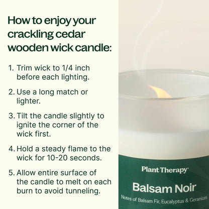 Balsam Noir Naturally Scented Candle - My American Goods