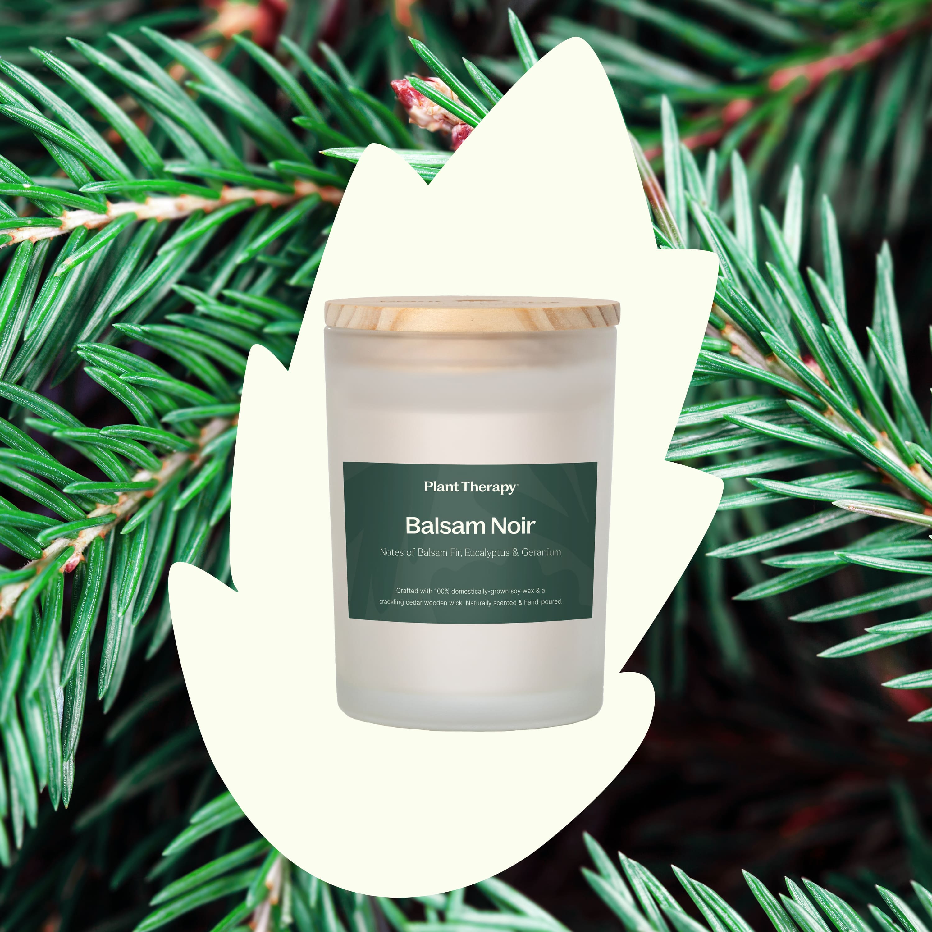 Balsam Noir Naturally Scented Candle - My American Goods