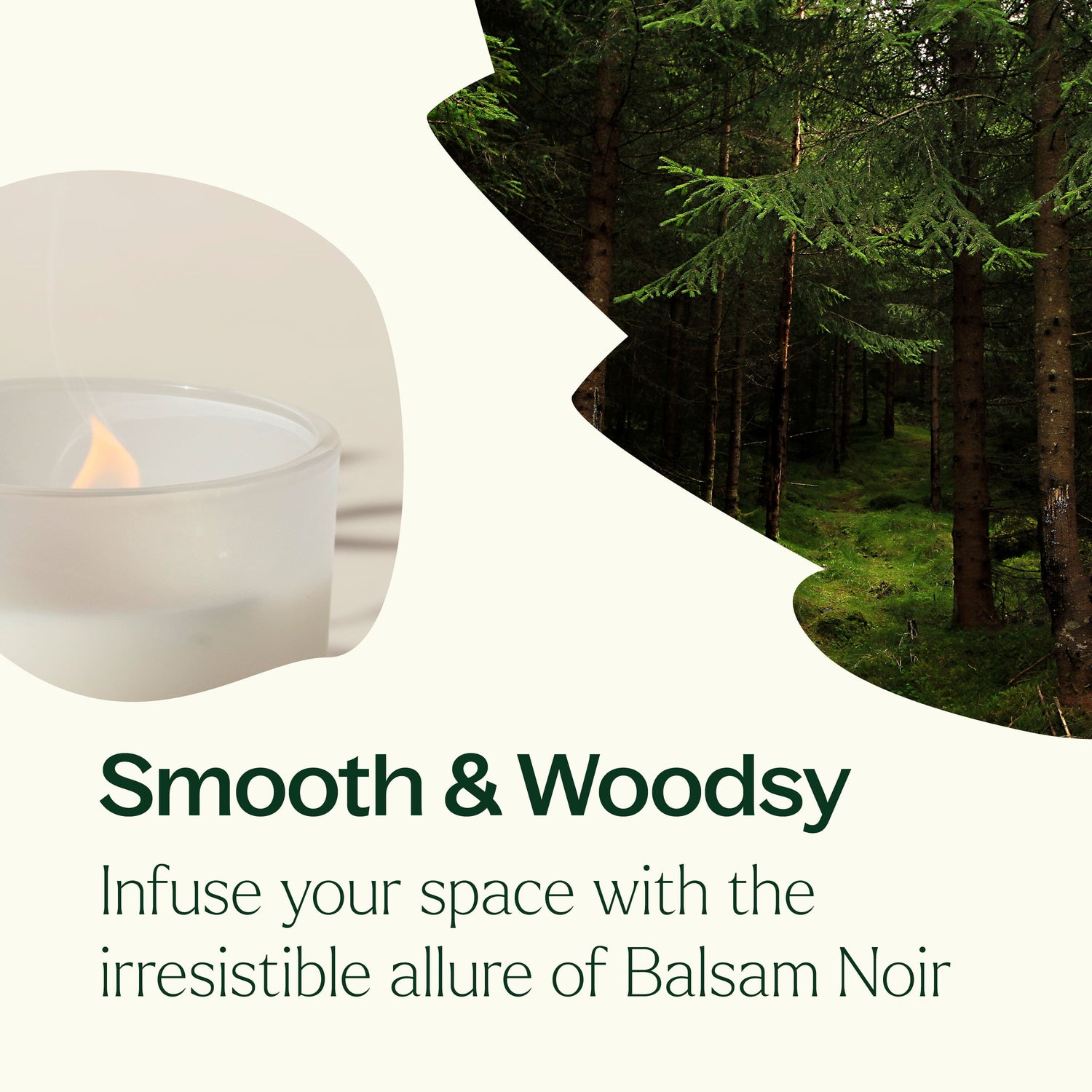 Balsam Noir Naturally Scented Candle - My American Goods
