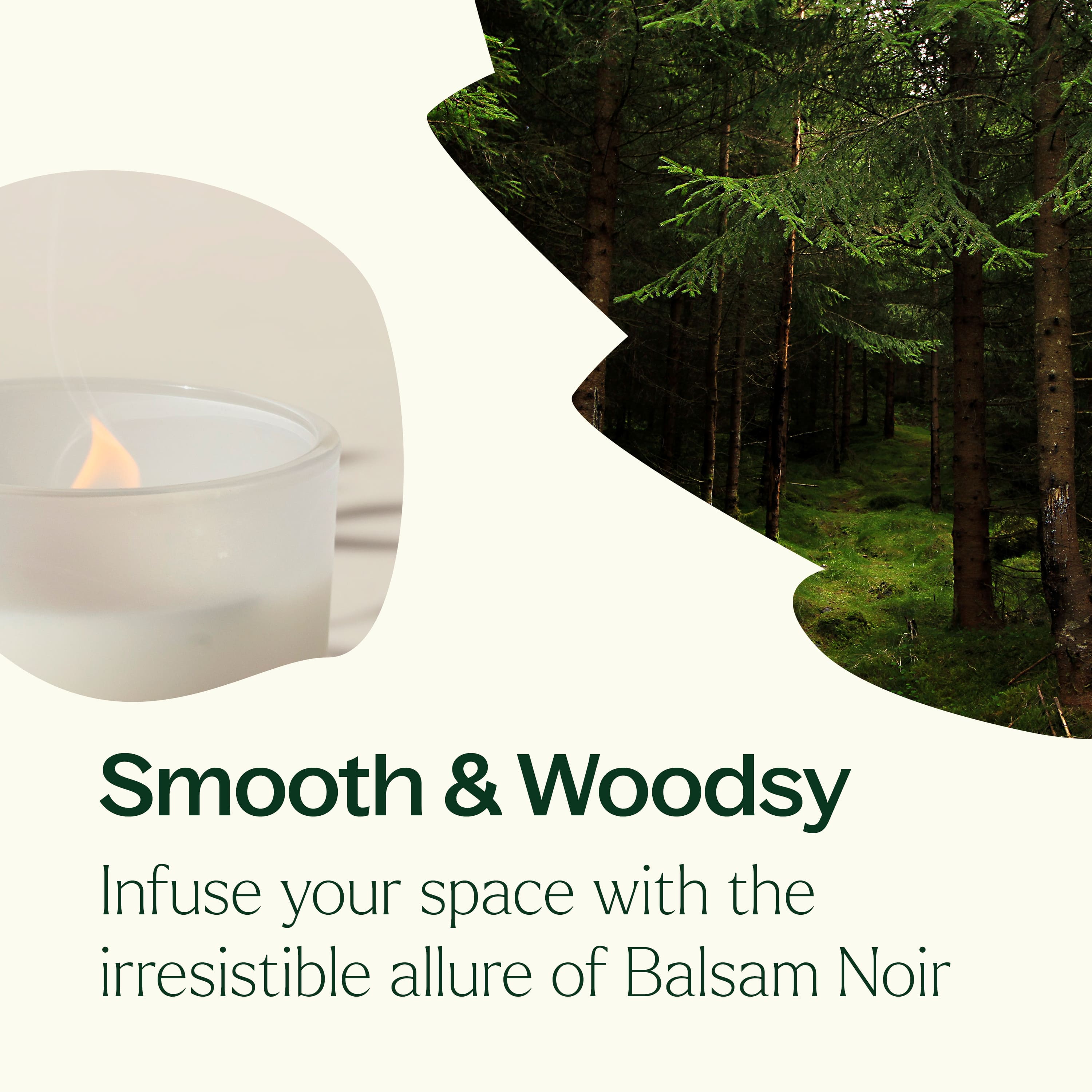 Balsam Noir Naturally Scented Candle - My American Goods