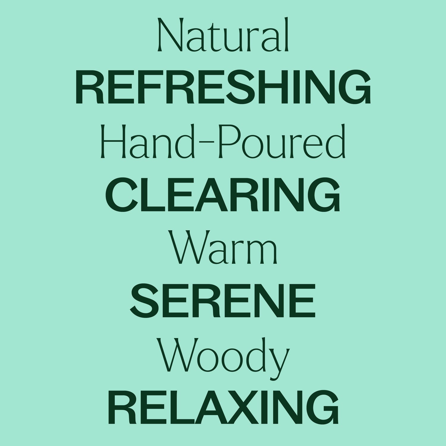 Balsam Noir Naturally Scented Candle - My American Goods
