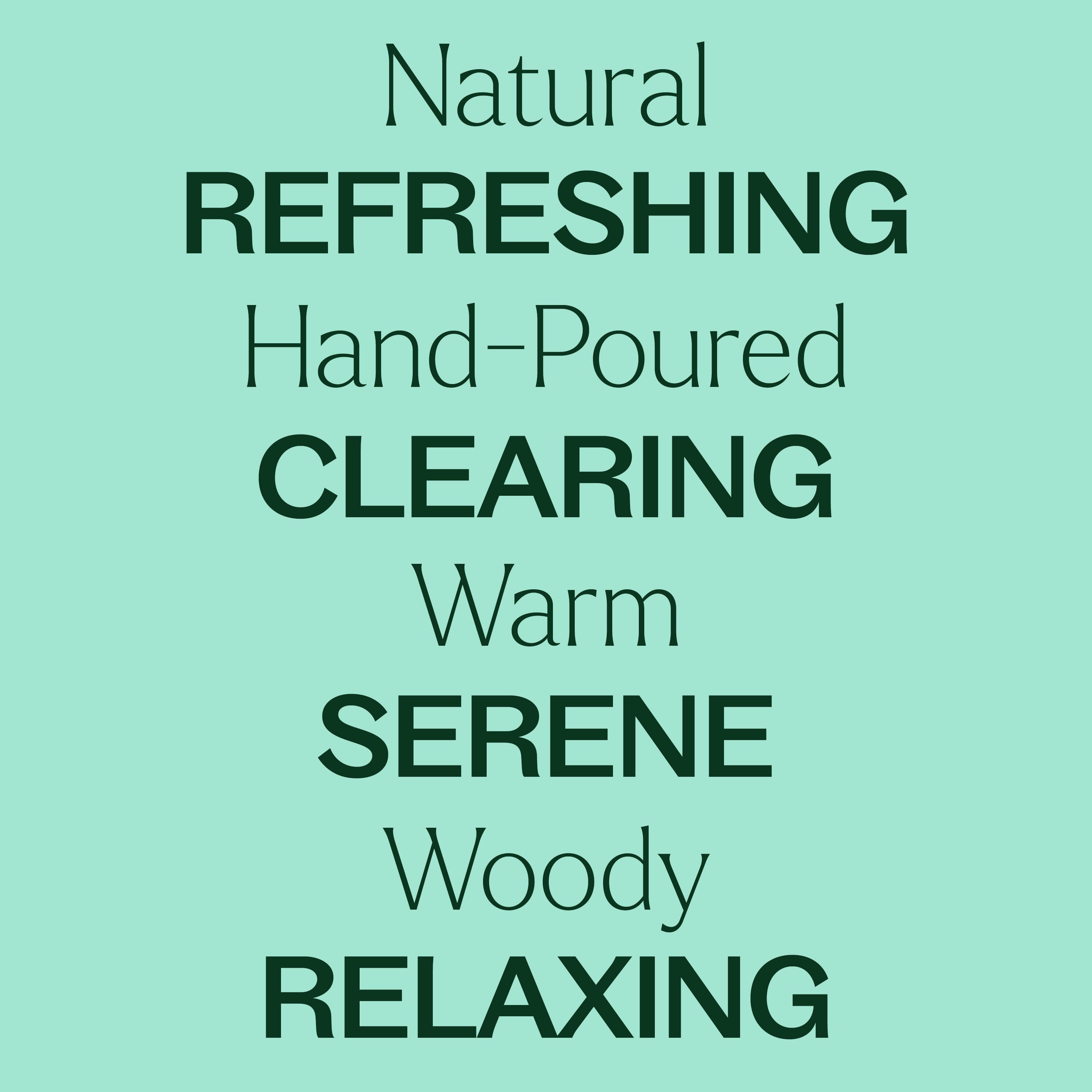 Balsam Noir Naturally Scented Candle - My American Goods