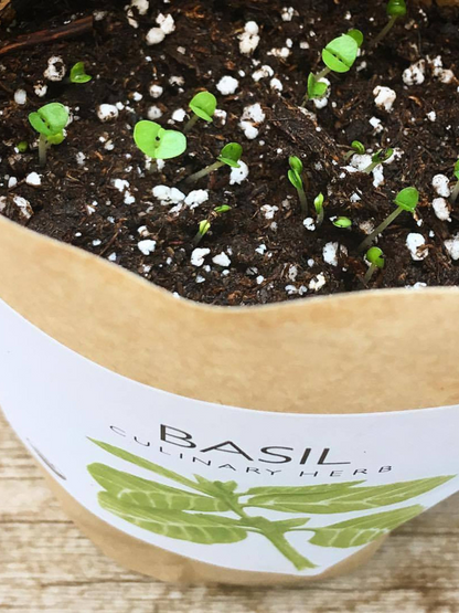 Garden in a Bag - Herbs - My American Goods