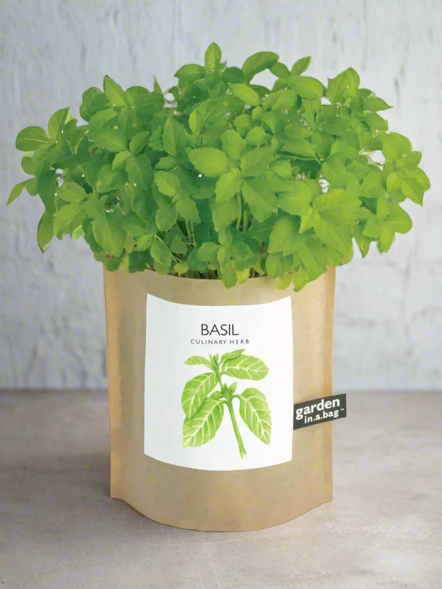 Garden in a Bag - Herbs - My American Goods