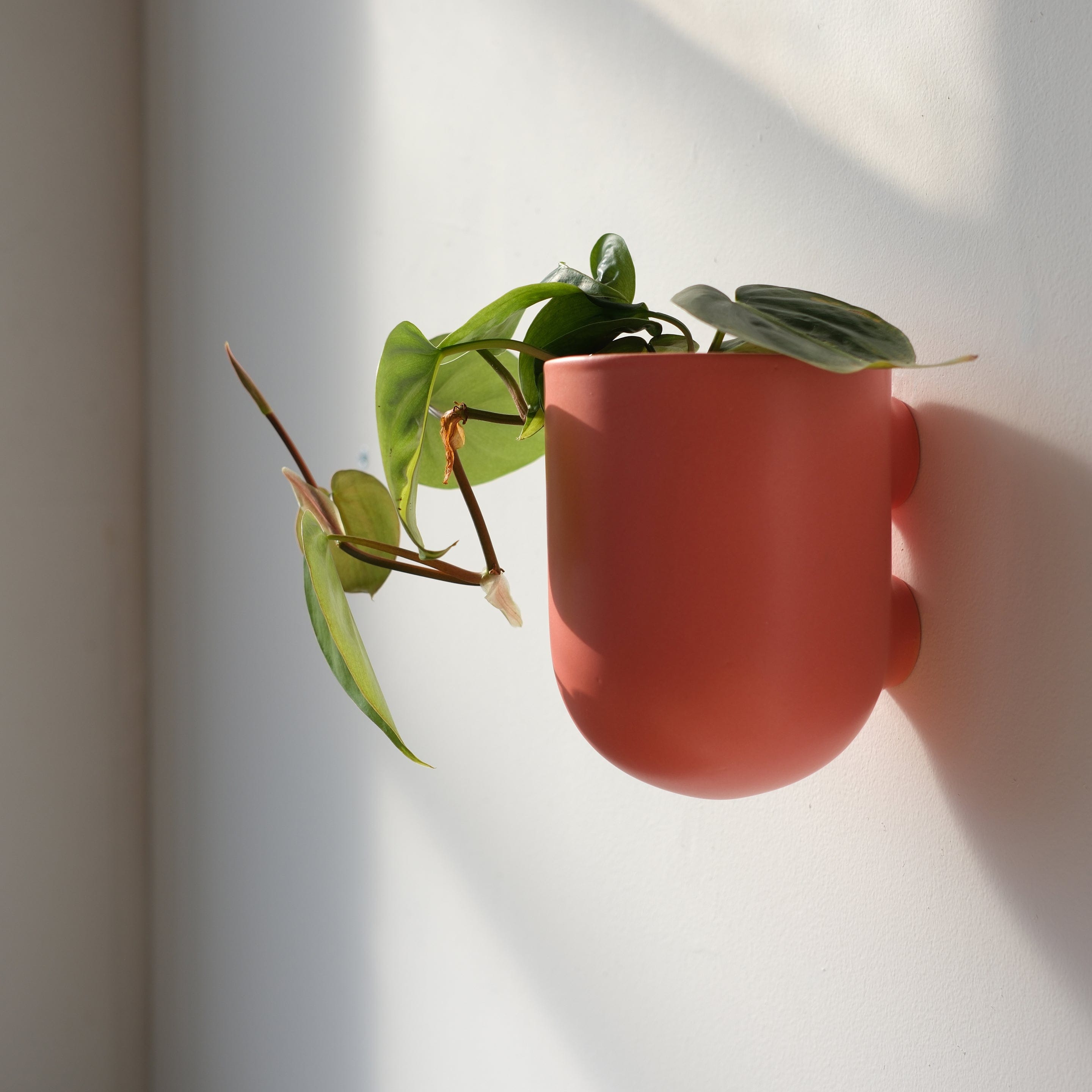 Misewell Pots &amp; Planters Bender Wall Planter