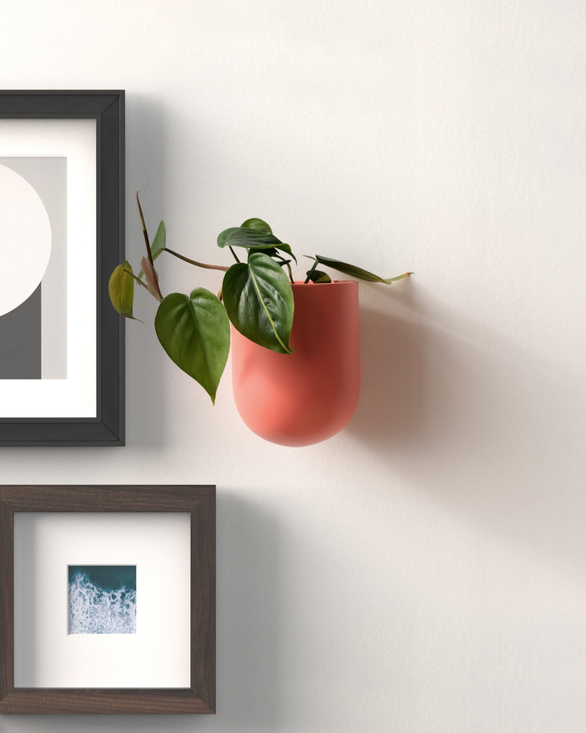Bender Wall Planter