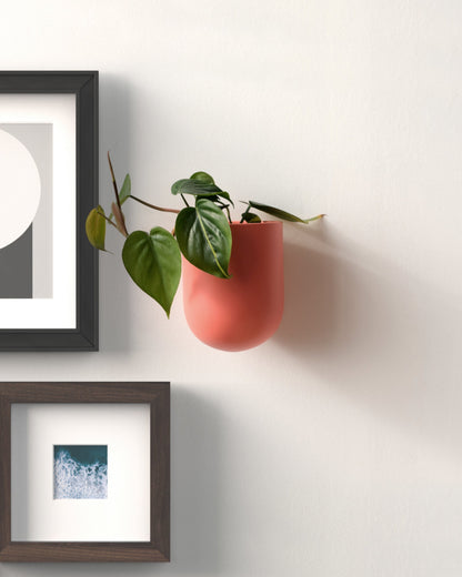 Bender Wall Planter