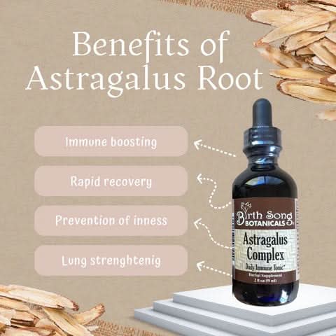 Birth Song Botanicals Co. Tinctures Astragalus Root Complex