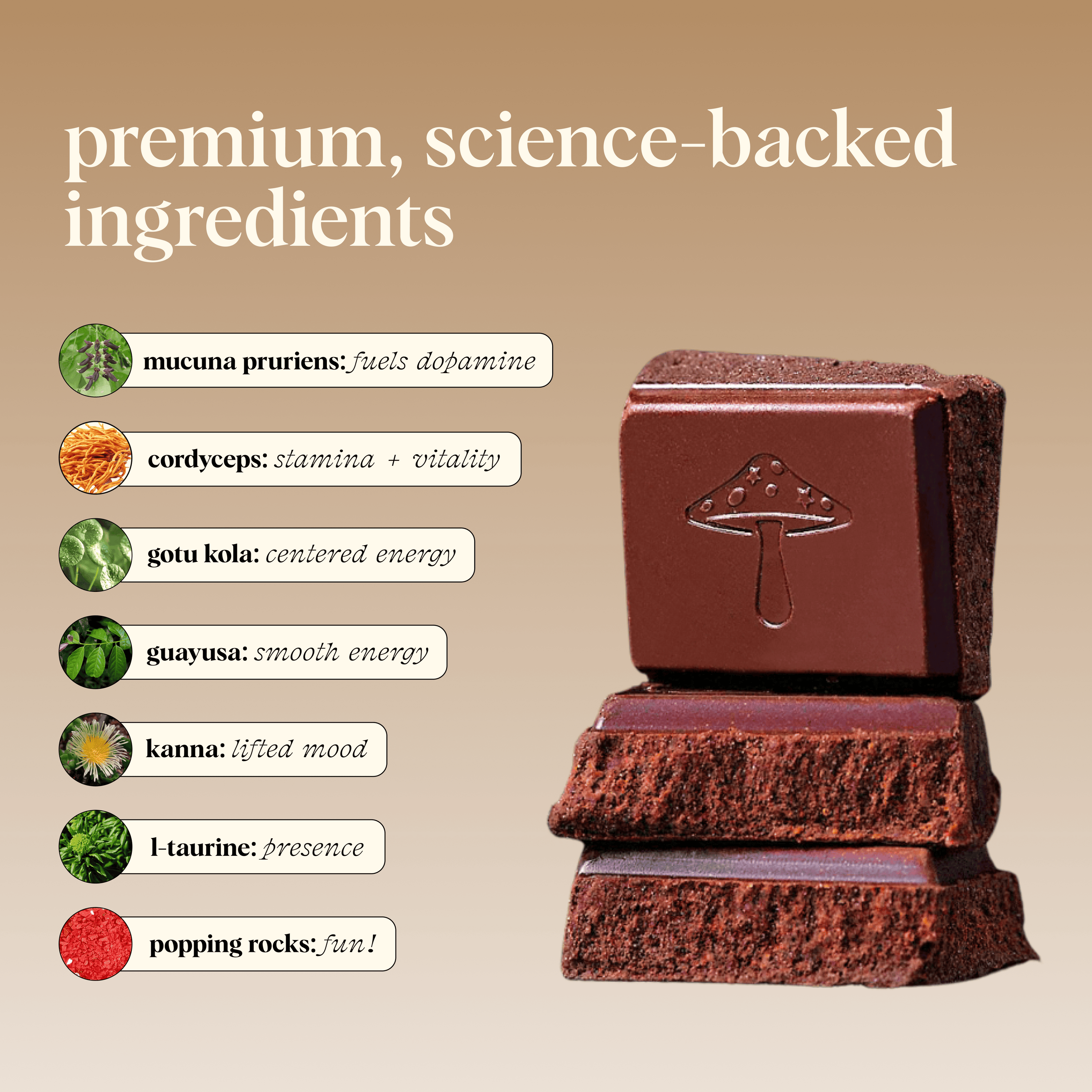 alice mushrooms Party Trick Functional Mushroom Chocolates