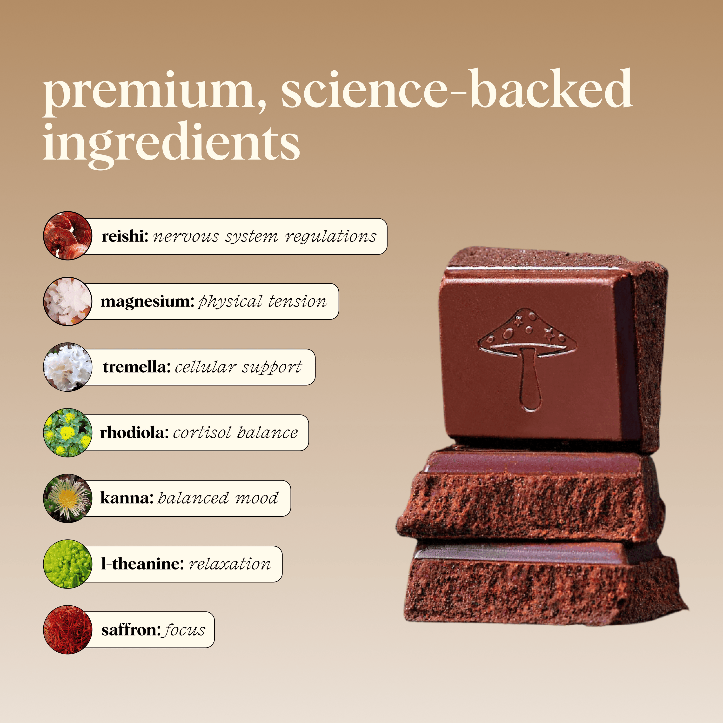 alice mushrooms Vitamins &amp; Supplements Zen-X Functional Mushroom Chocolates