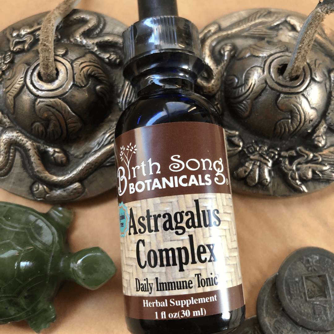 Birth Song Botanicals Co. Tinctures Astragalus Root Complex