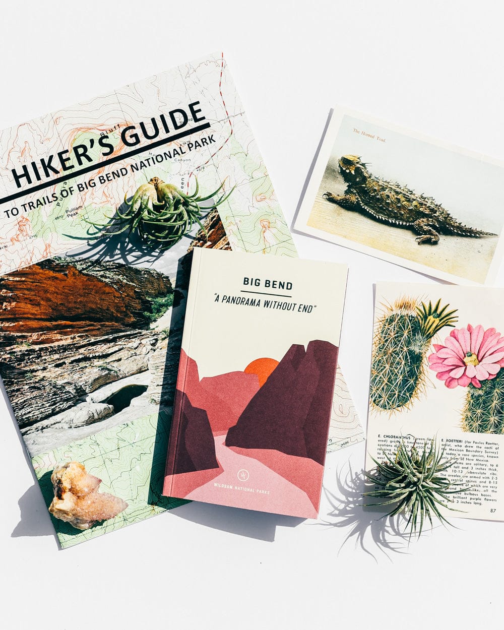 Wildsam Field Guides Big Bend National Park