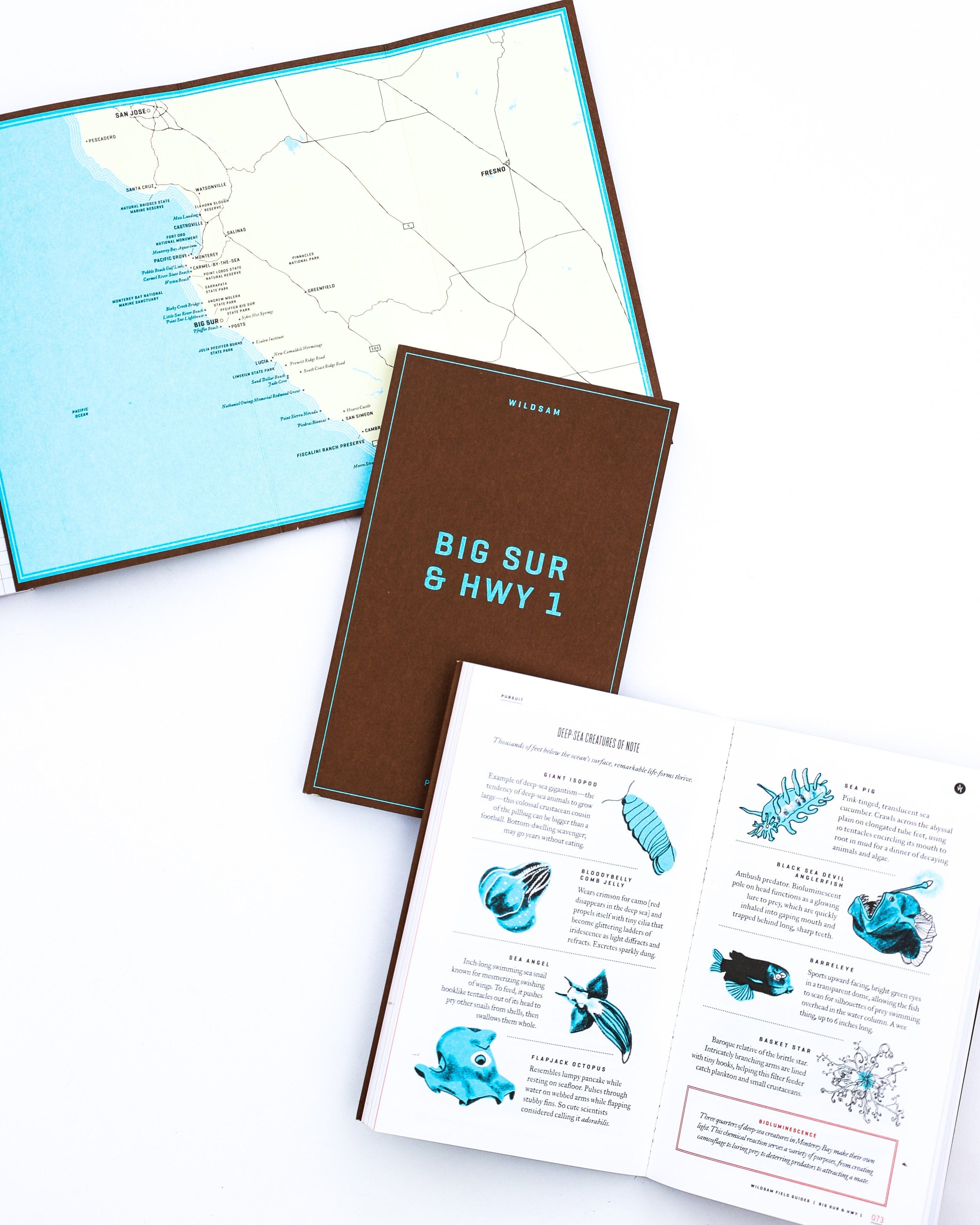 Wildsam Field Guides BIG SUR &amp; HWY 1
