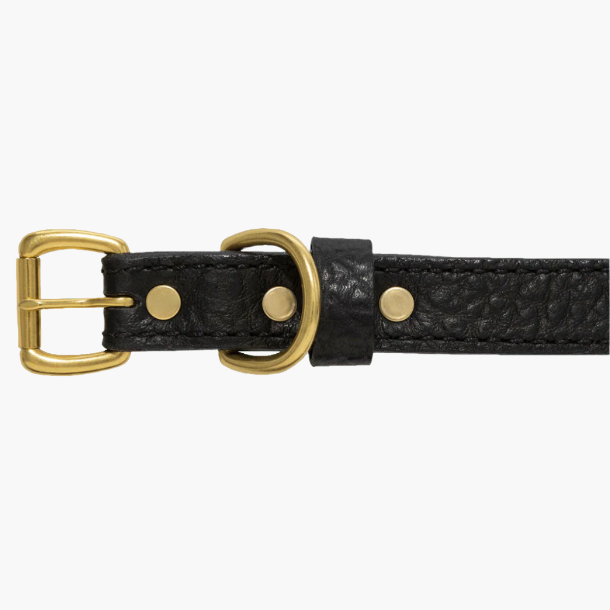 Bison Dog Collar | 3/4" Width