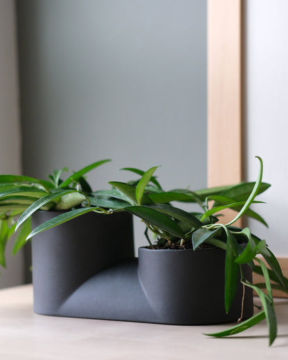 Double Planter