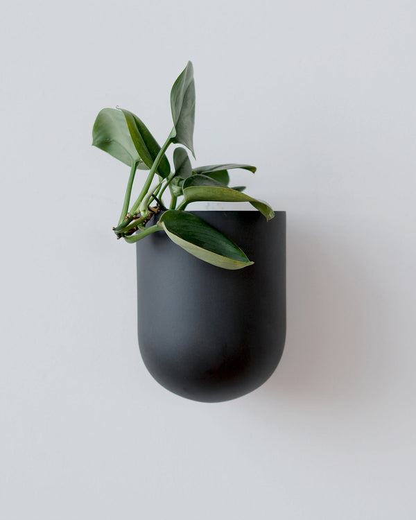 Bender Wall Planter