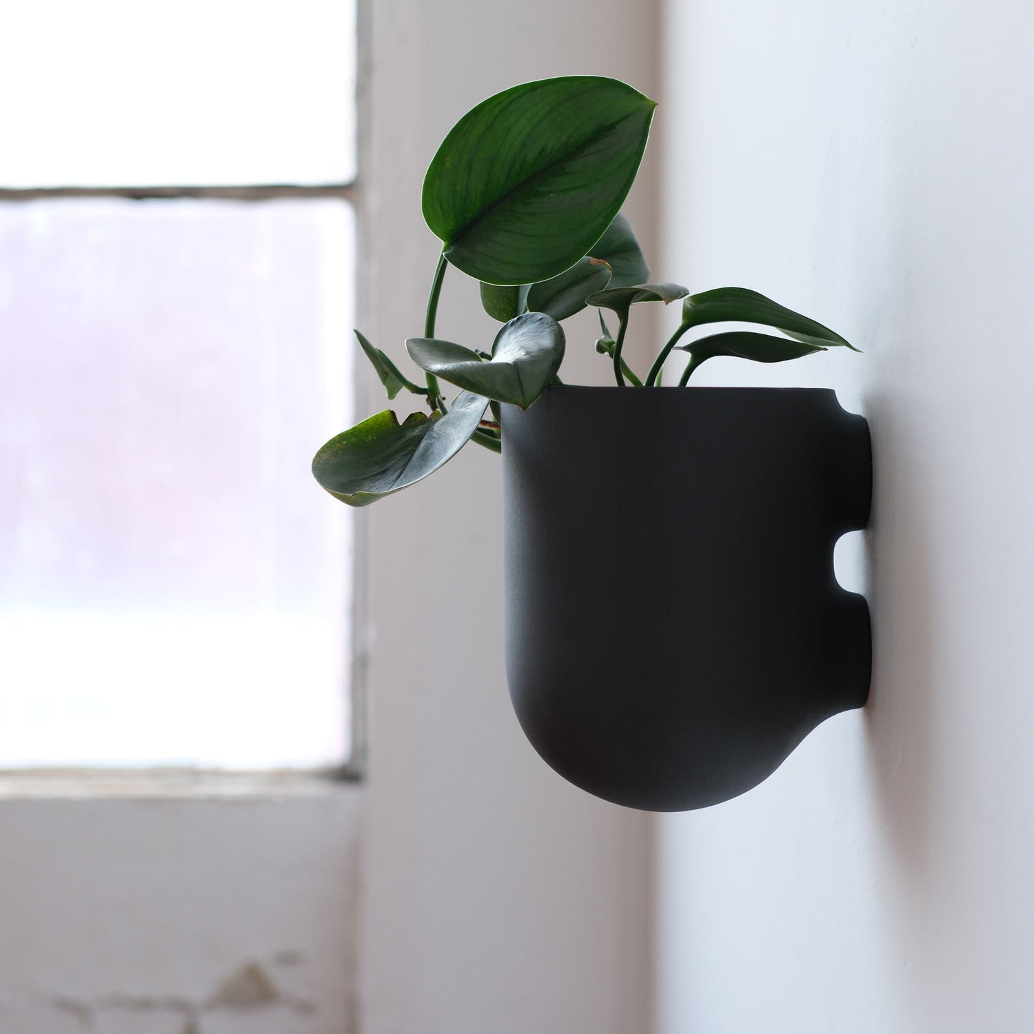 american made plant pots Bender Wall Planter Black