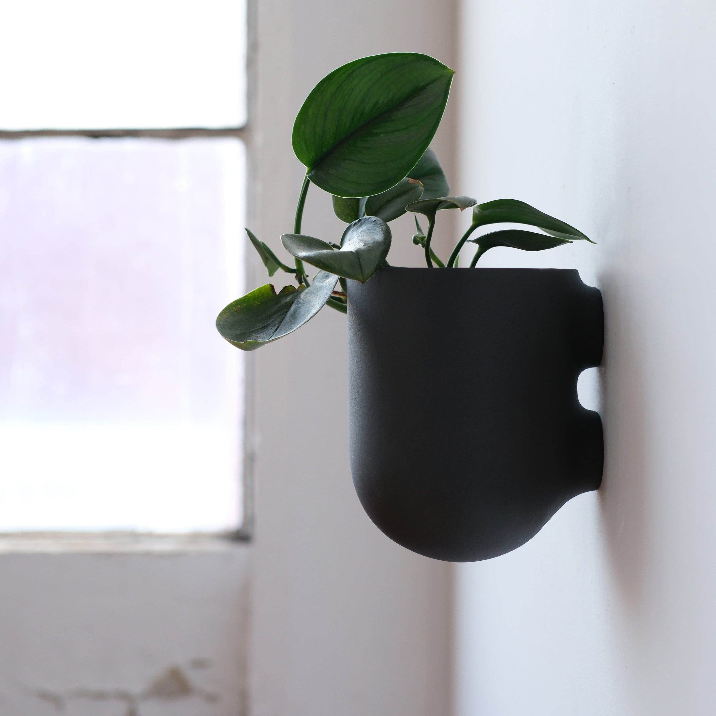 Misewell Pots &amp; Planters Bender Wall Planter