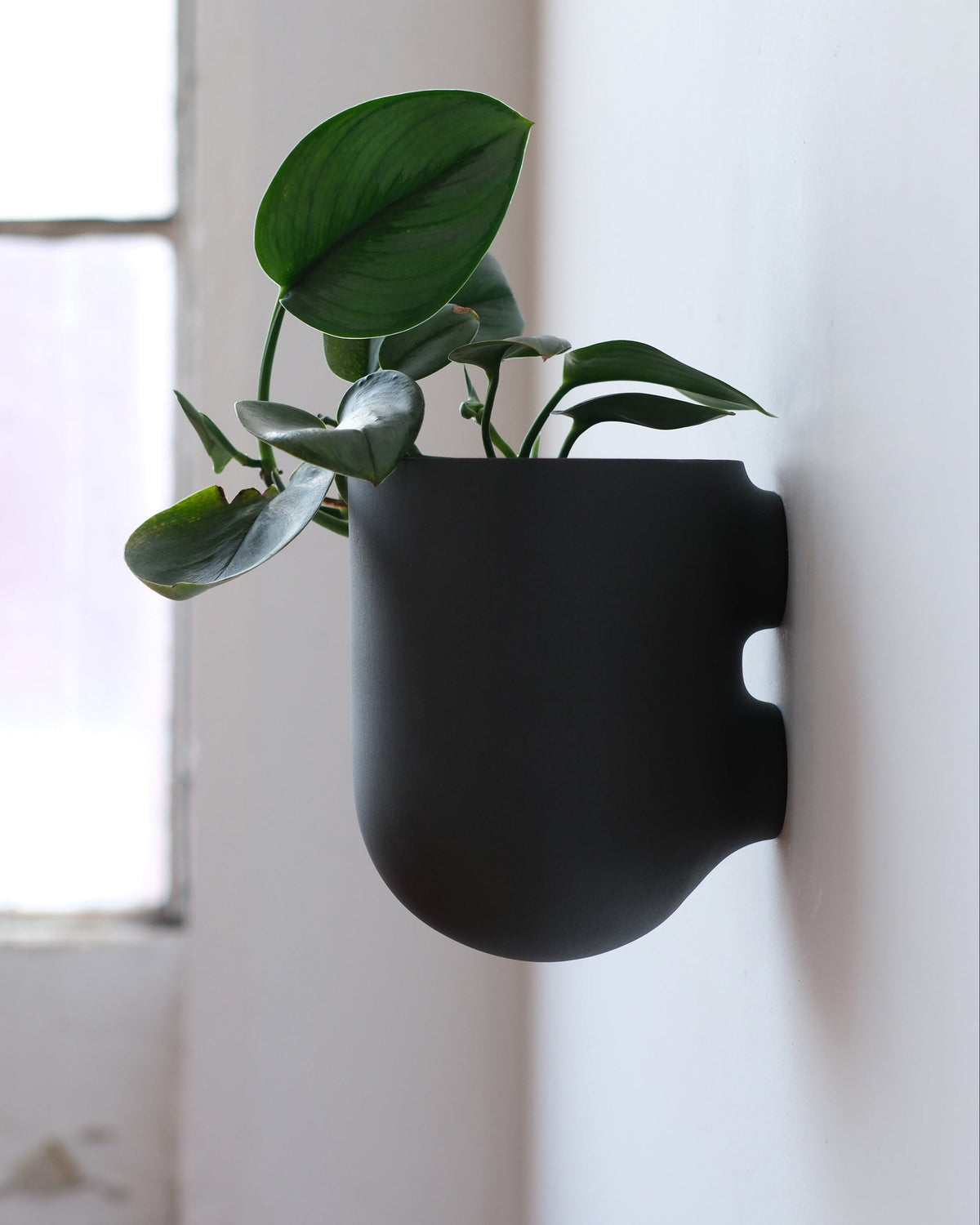 Bender Wall Planter