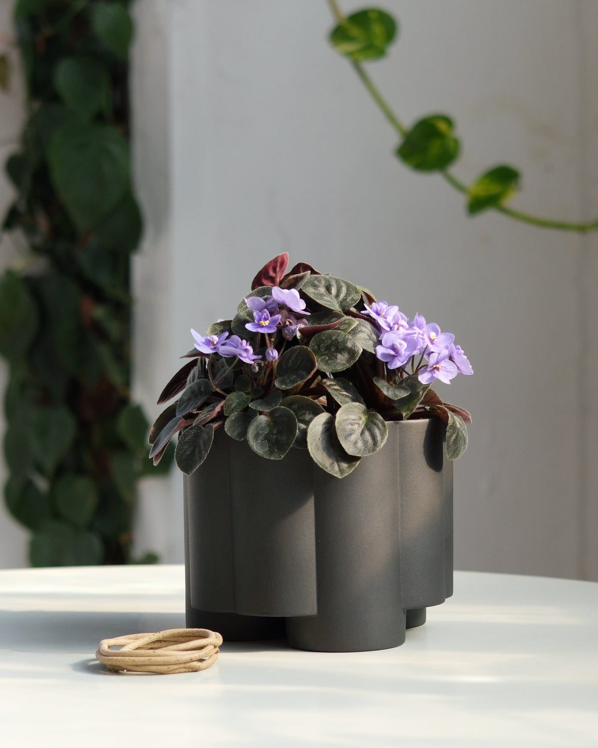 Pillar Planter