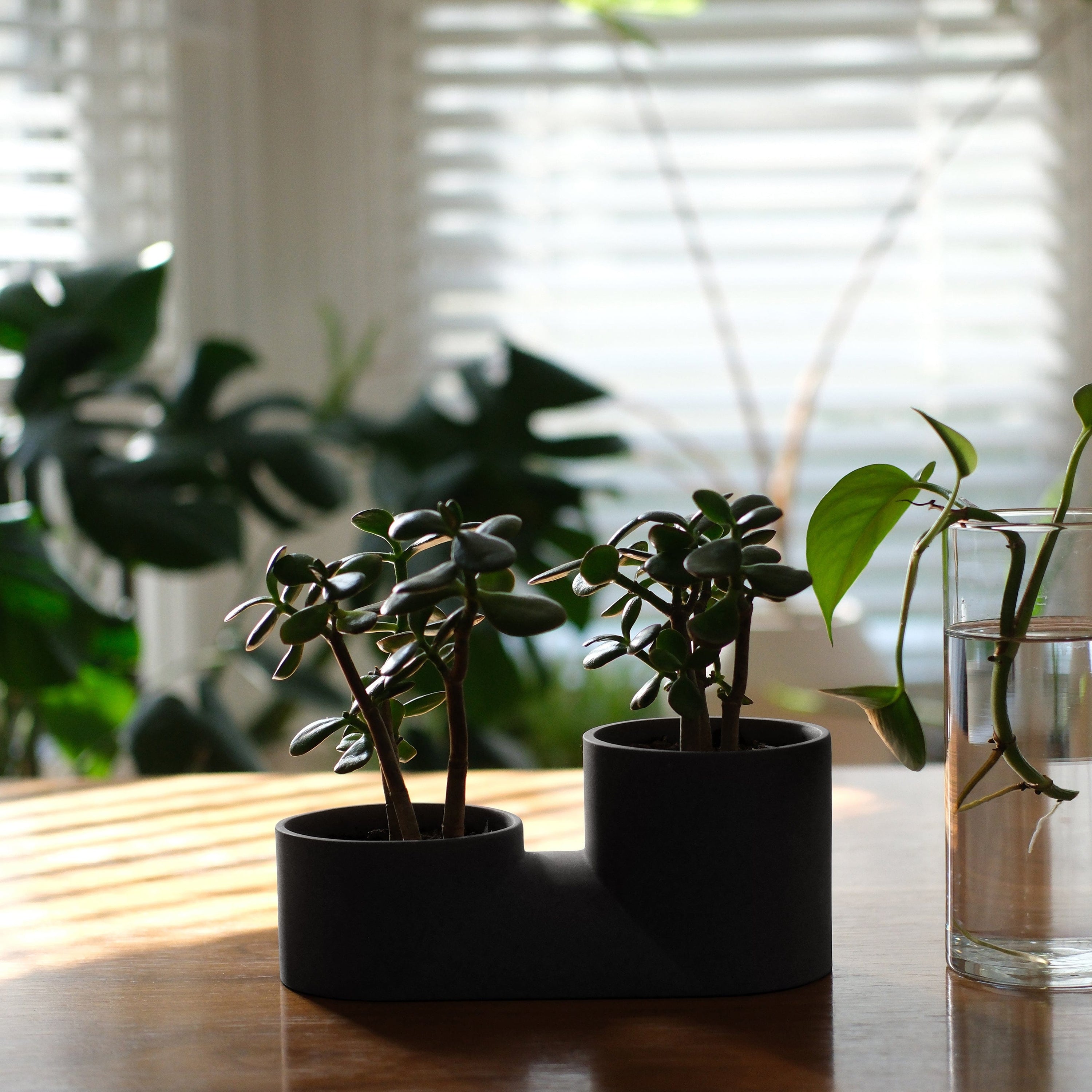 Misewell Pots &amp; Planters Double Planter