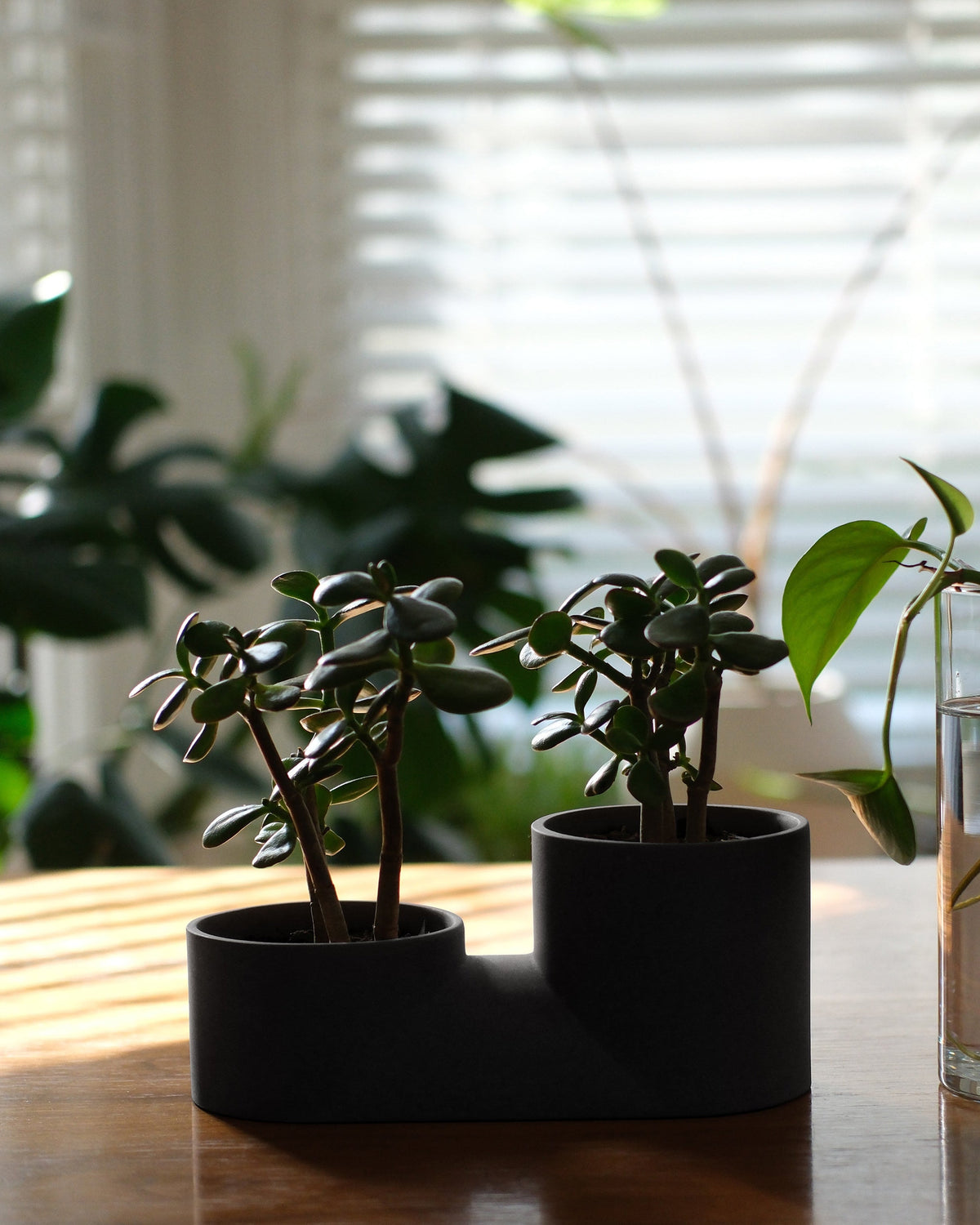 Double Planter