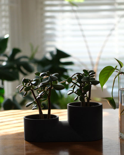 Double Planter