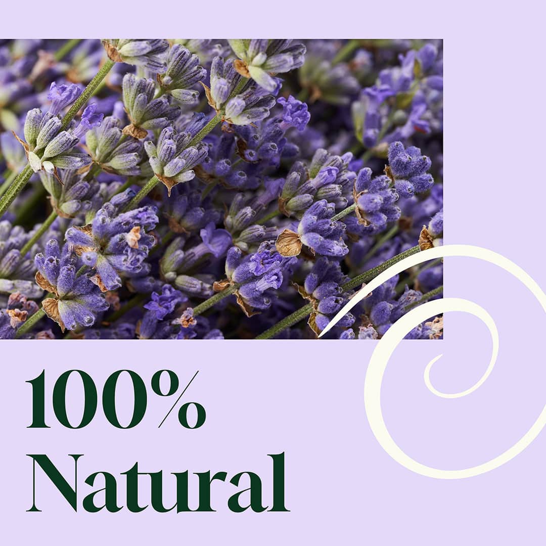 Blissful Dreams Lavender Pillow Spray