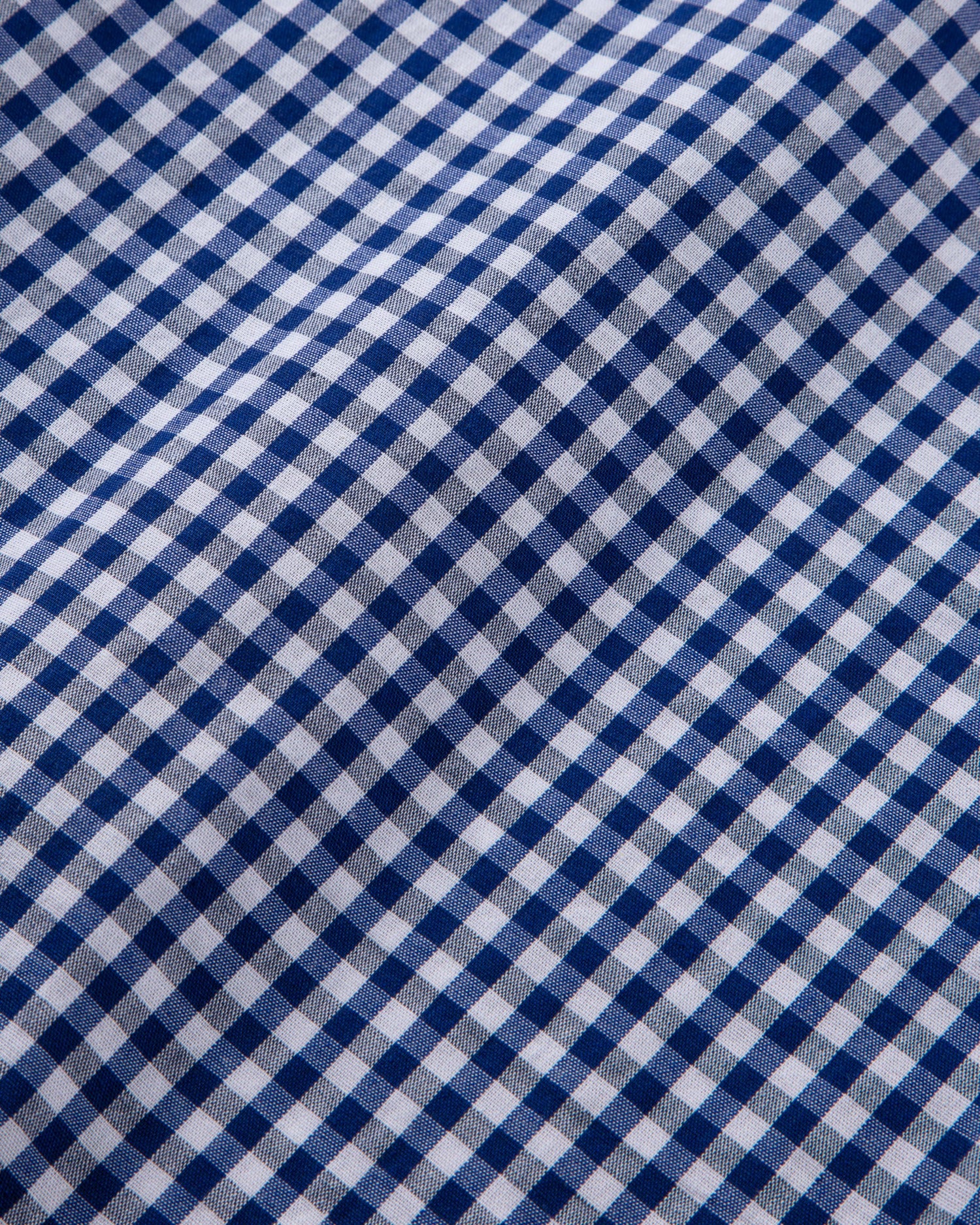 Blue Gingham