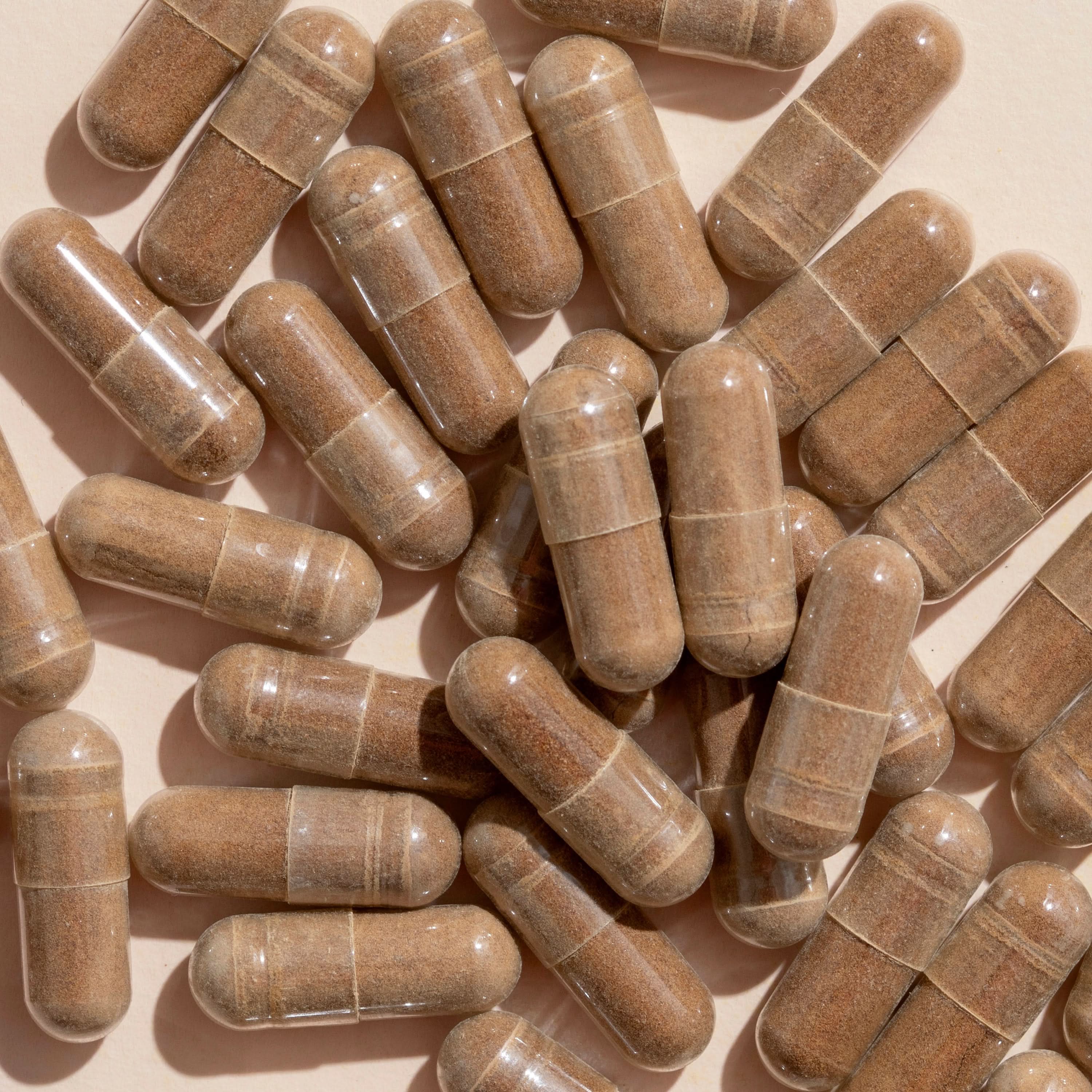 Plant Therapy Supplement 120 ct Brain Mushroom Blend – 4 Mushroom Formula