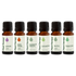 Plant Therapy Essential Oil Breathe Easy Set