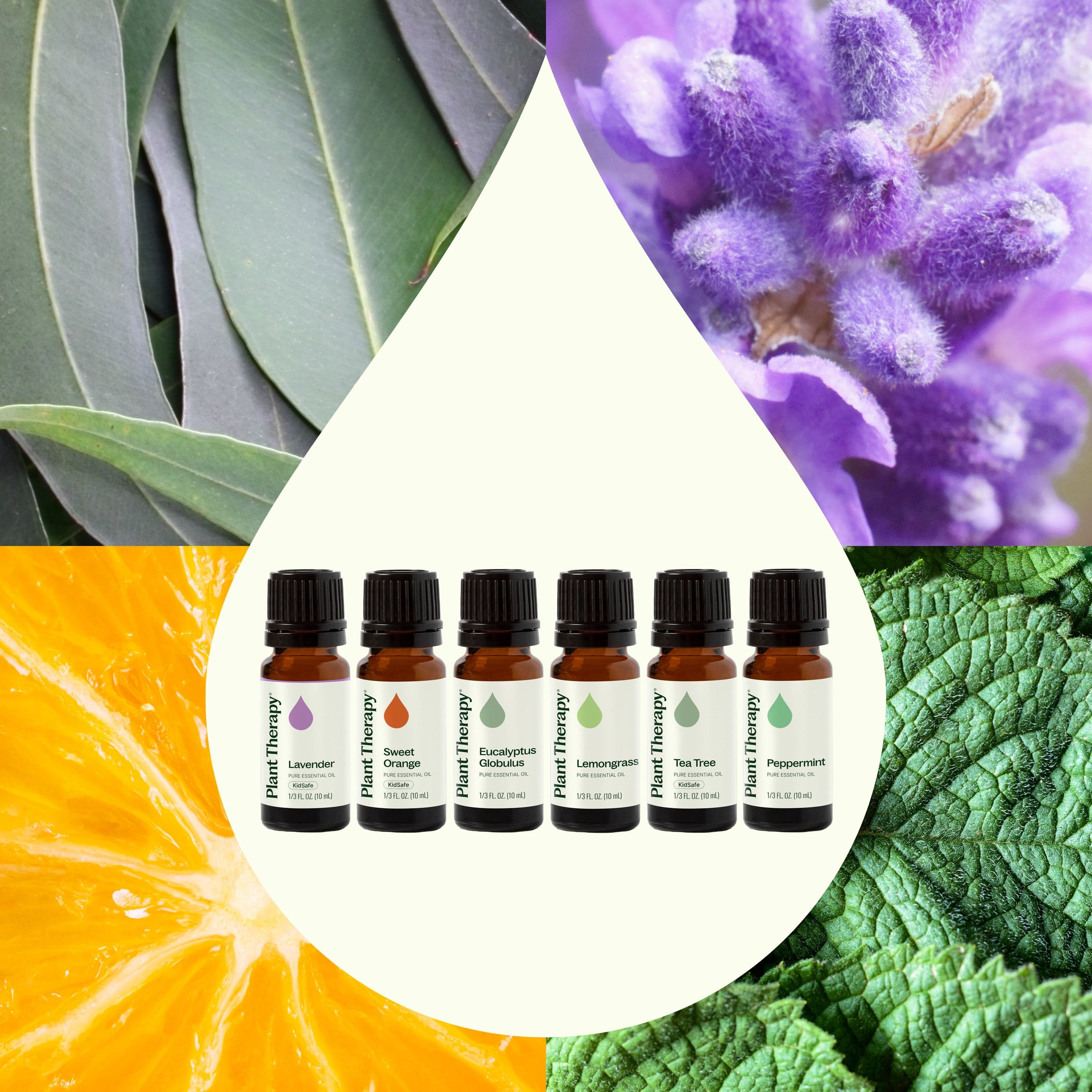 Plant Therapy Essential Oil Breathe Easy Set