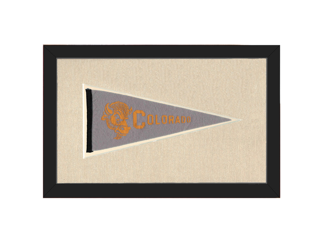 Vintage Colorado Pennant